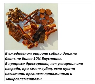 Картинка 11