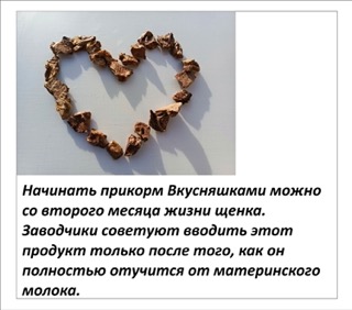 Картинка 12