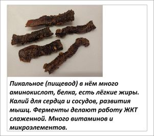 Картинка 12