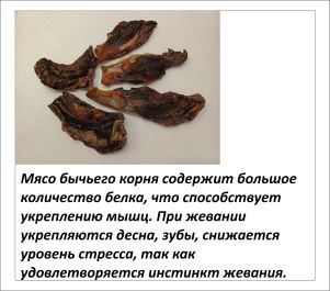 Картинка 12
