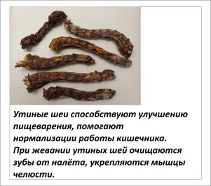 Картинка 12