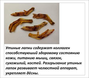 Картинка 12