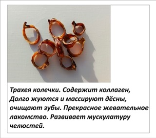 Картинка 7