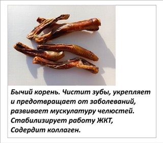 Картинка 8