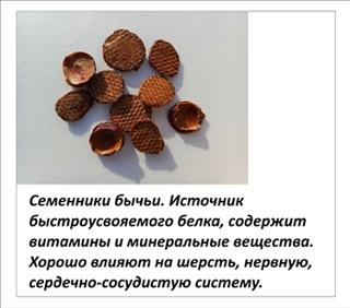 Картинка 9